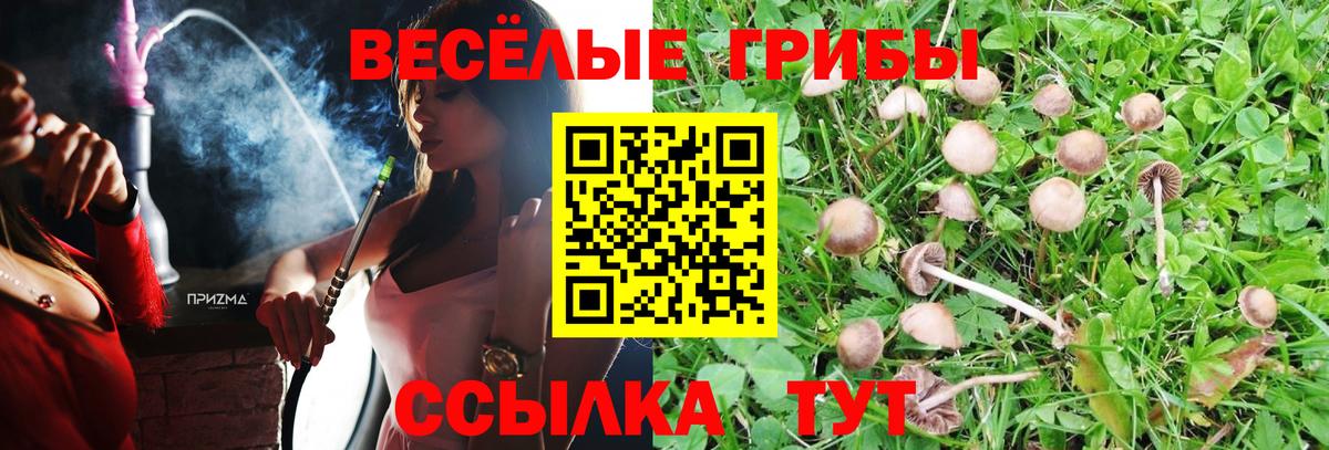 Саяногорск  Псилоцибиновые грибы Cubensis  Вход с VPN 